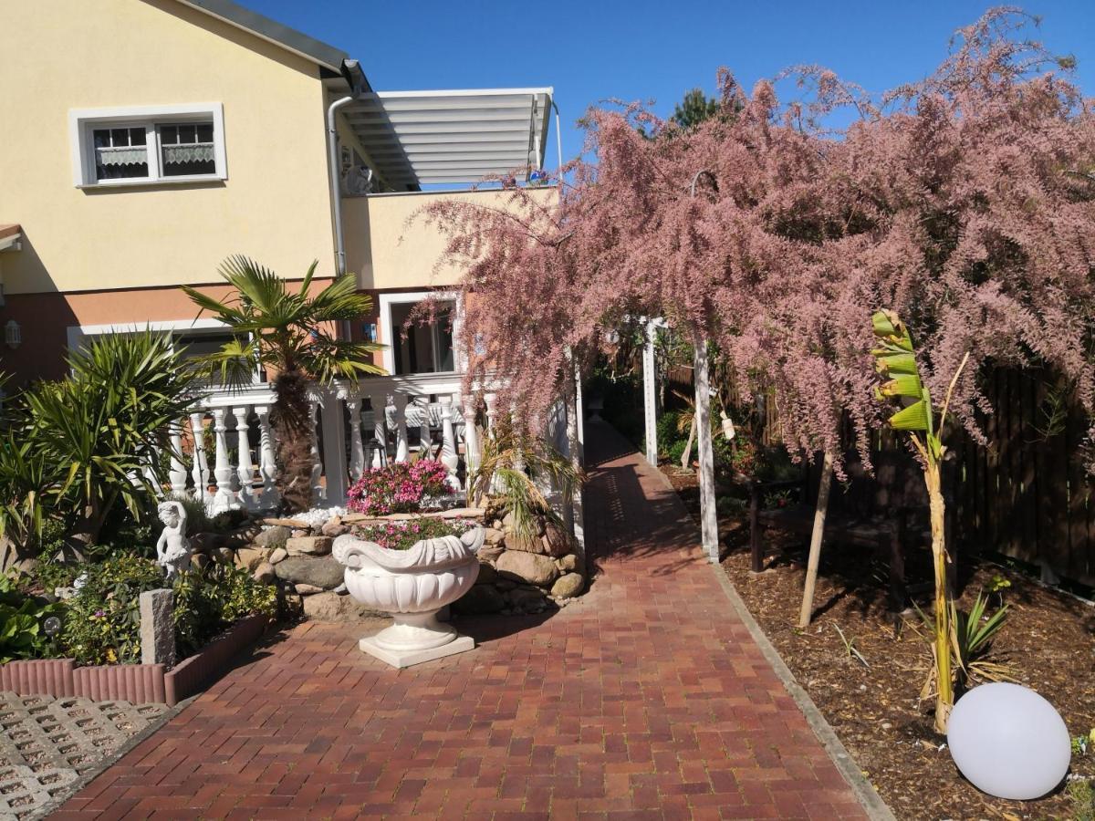 Casa Hibiscus Apartment Putbus Luaran gambar
