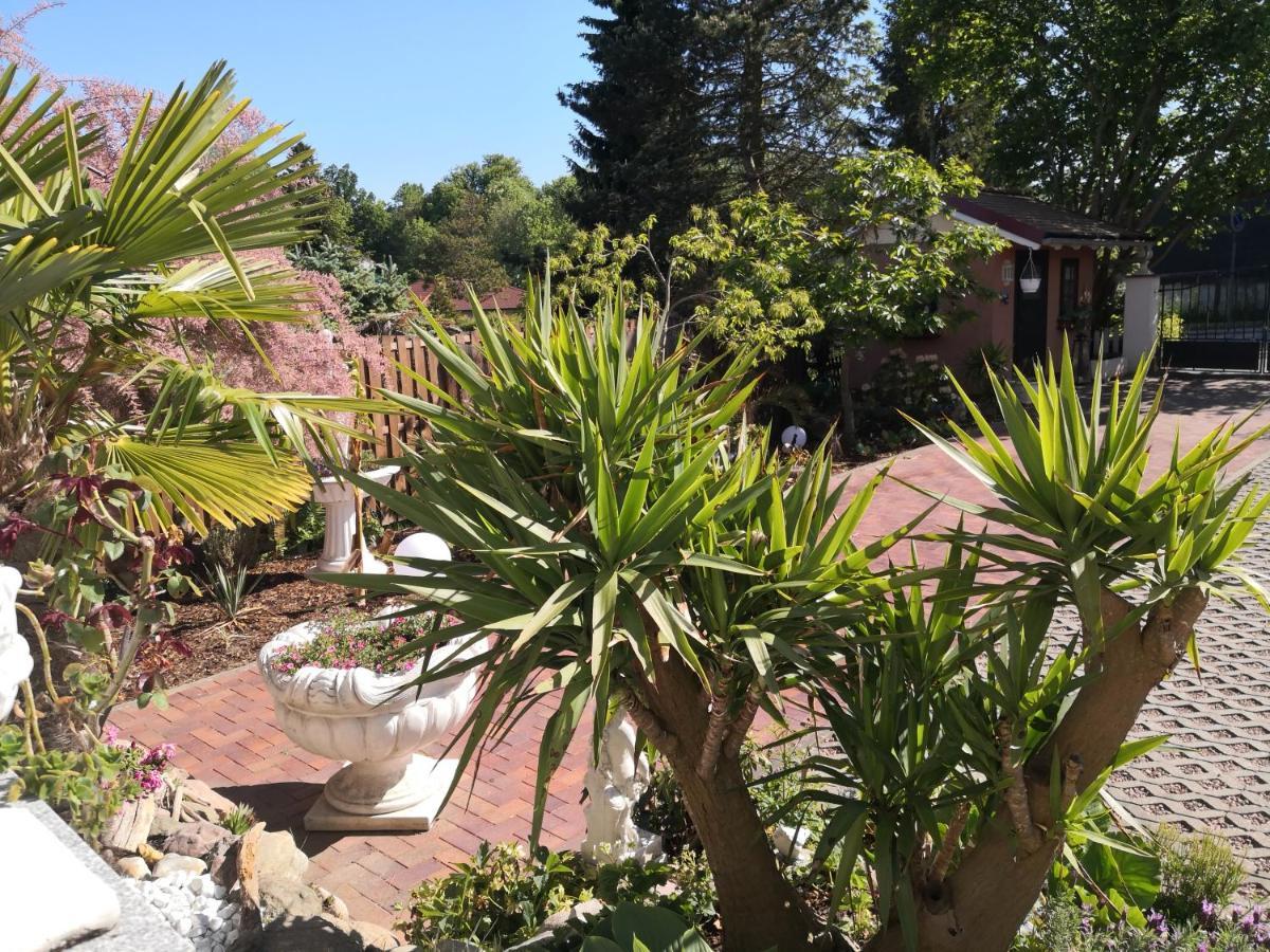 Casa Hibiscus Apartment Putbus Luaran gambar